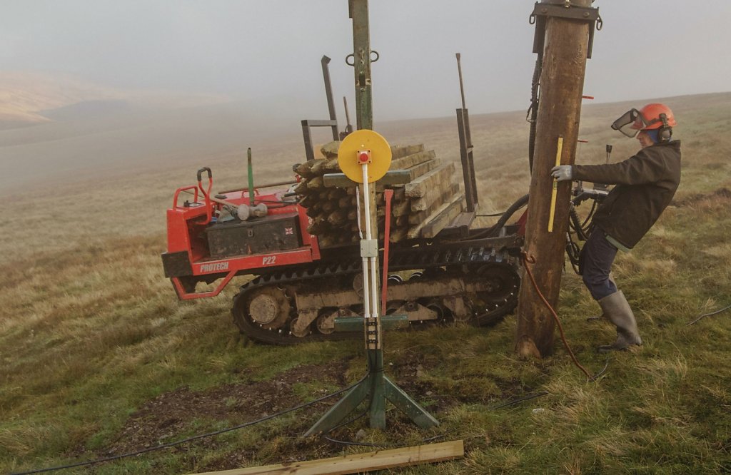 A telegraph pole on its way into Lowther Hill