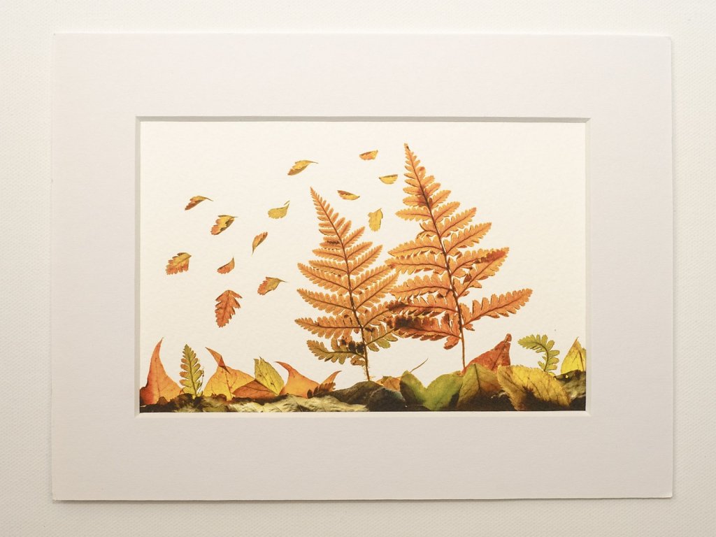 Lightbox autumn leaf arrangement from St Andrews Church, Moffat