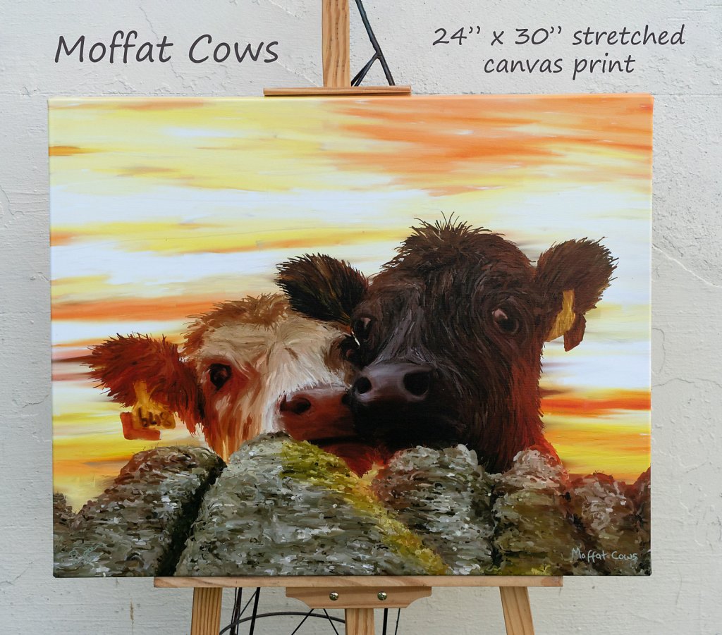 moffat-cows-24-x-30-canvas.jpg