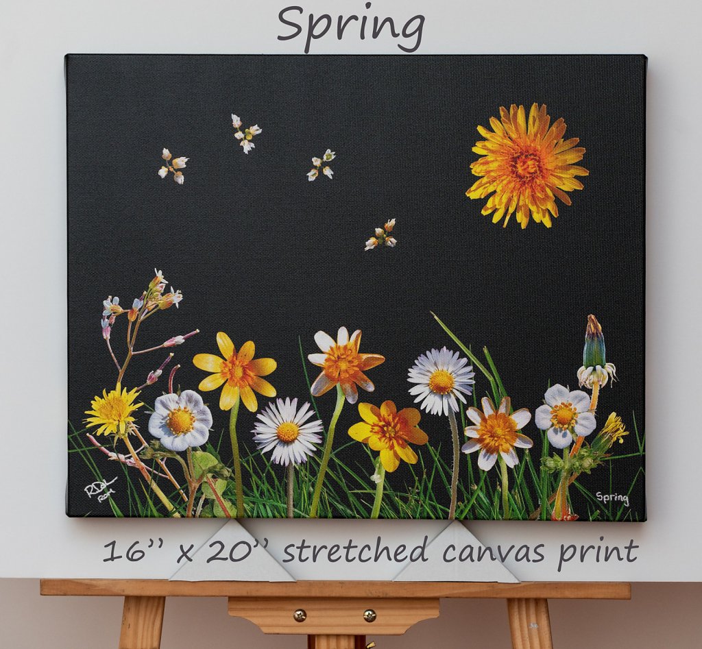 spring-16-x-20-canvas.jpg