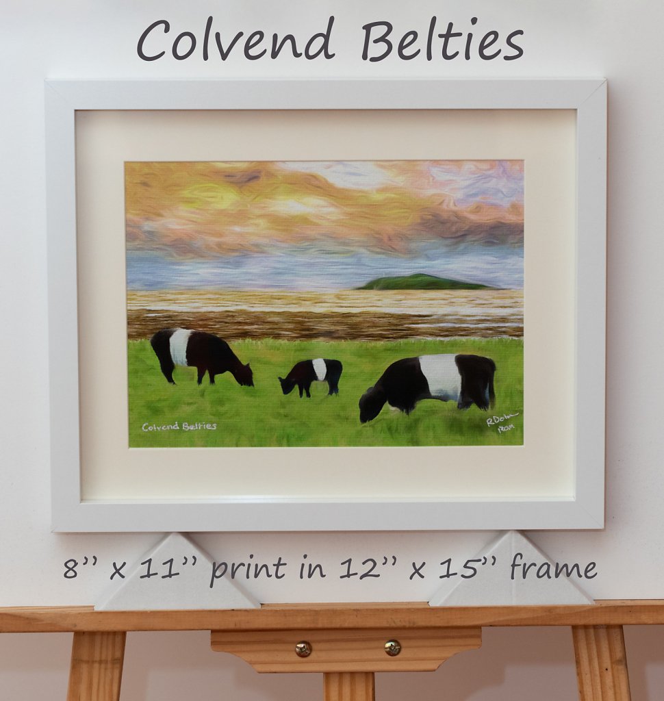 colvend-belties-8-x-11-framed.jpg