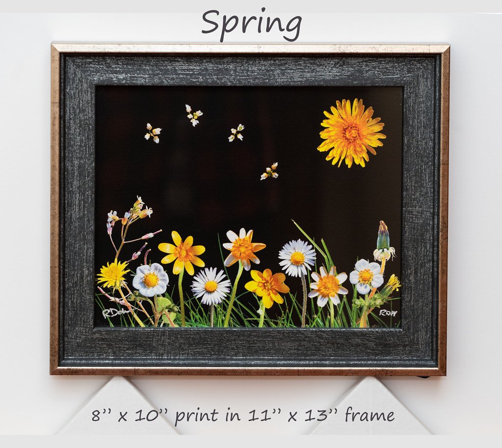 spring-8-x-10-framed.jpg