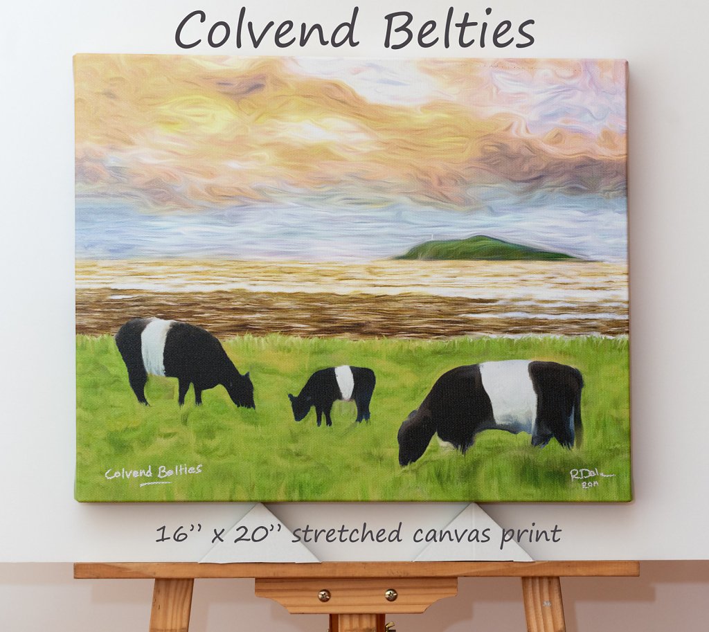 colvend-belties-16-x-20-canvas.jpg